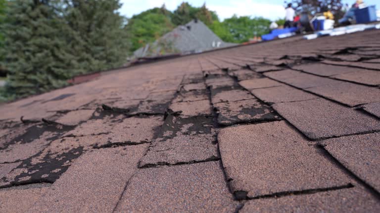 Best Rubber Roofing (EPDM, TPO)  in Barrington Hls, IL
