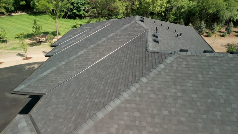 Best Roof Insulation Installation  in Barrington Hls, IL