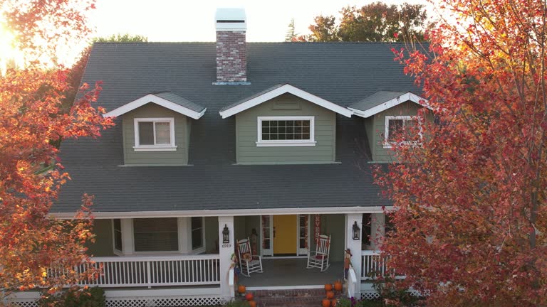 Best Chimney Flashing Repair  in Barrington Hls, IL