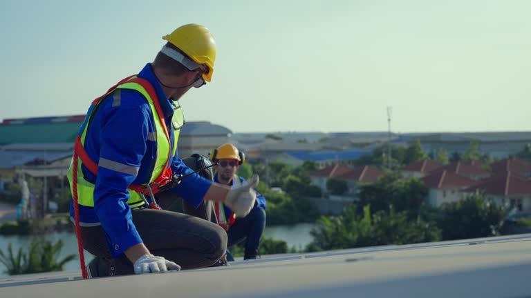 Best Solar Panel Roofing Installation  in Barrington Hls, IL