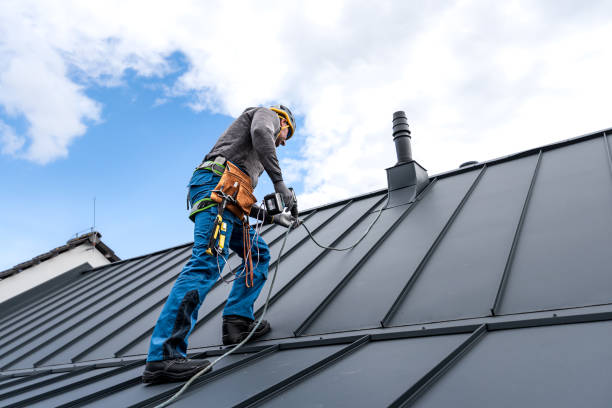 Best Metal Roofing Installation  in Barrington Hls, IL