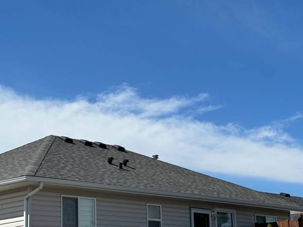 Fast & Reliable Emergency Roof Repairs in Barrington Hills, IL